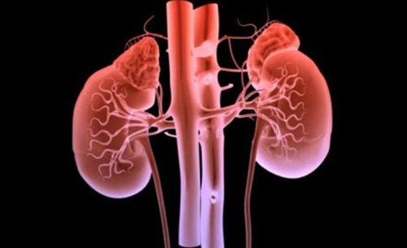 Pacientes com doença renal crônica triplicam em 16 anos no Brasil