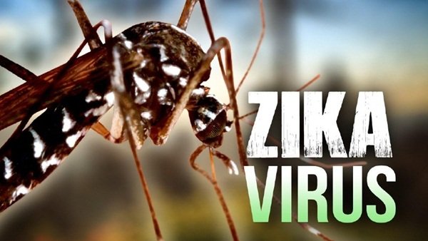 Testes indicam que vacina contra zika pode prevenir a transmissão na gravidez