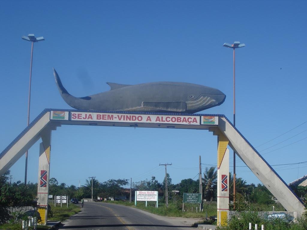 Índices alarmantes de Aids e sífilis são detectados durante mutirão da saúde em Alcobaça