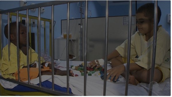 Bebê morre e 3 irmãos ficam feridos após sofrerem ataque de abelhas enquanto brincavam