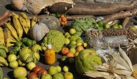 Governo muda regras para empréstimo a agricultores familiares