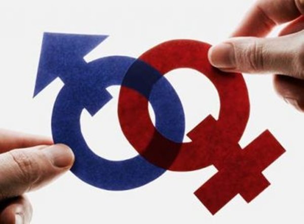 CCJ do Senado aprova projeto que aumenta pena para injúria por questões de gênero