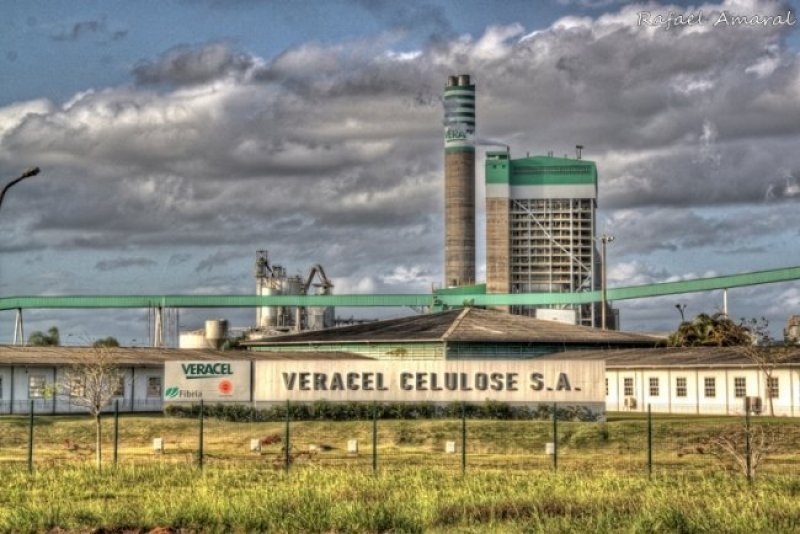 Oportunidade de emprego: Veracel Celulose está contratando