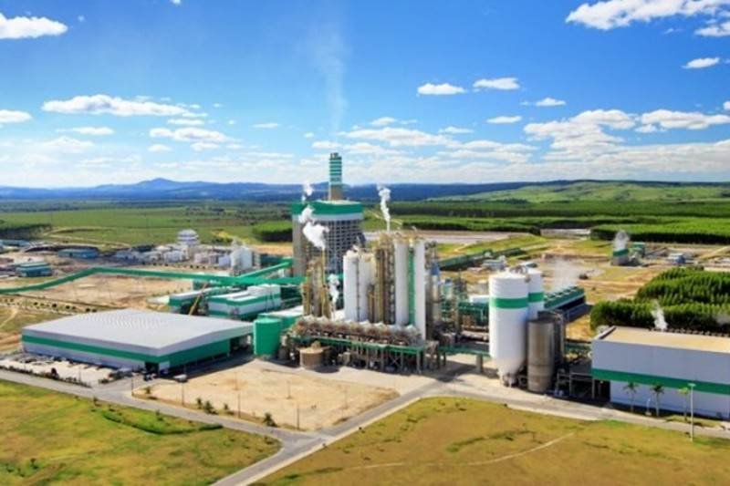 Veracel divulga edital para nova contratação