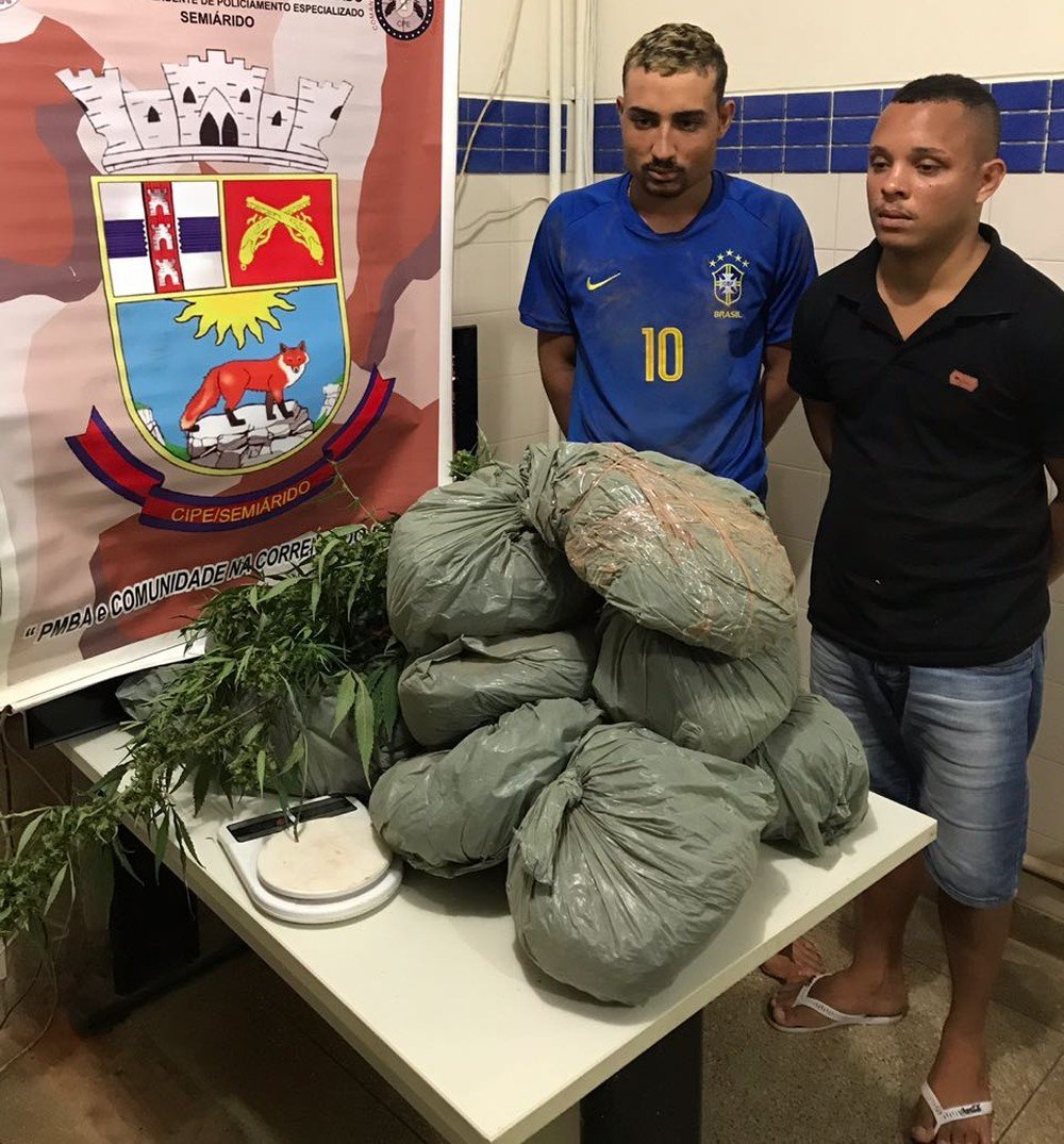 Onze quilos de maconha são achados enterrados em quintal na BA; dois são presos