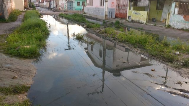 Bahia: Dengue e diarreia são as doenças ligadas ao saneamento com maiores ocorrência