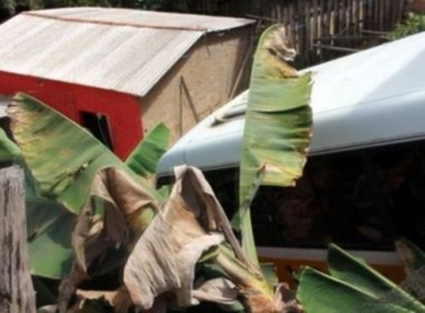 Eunápolis: Micro-ônibus perde o controle e acaba atingindo uma casa