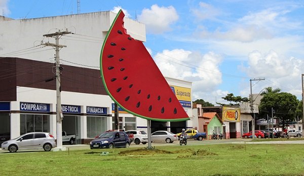 Melancia: Colheita avança em Teixeira de Freitas