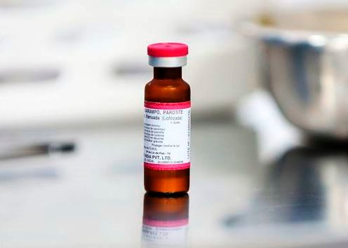 Brasil perderá status de país livre do sarampo após caso no Pará