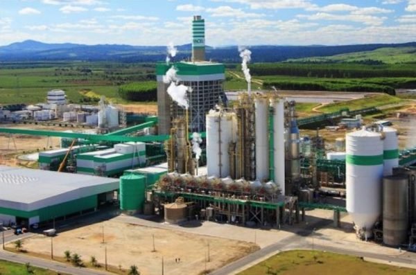 Veracel é condenada por terceirização ilícita e descaso com o meio ambiente