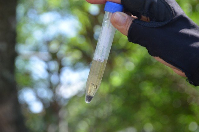 Bahia: Criança morre de dengue; notificações teve aumento de mais de 25 mil casos