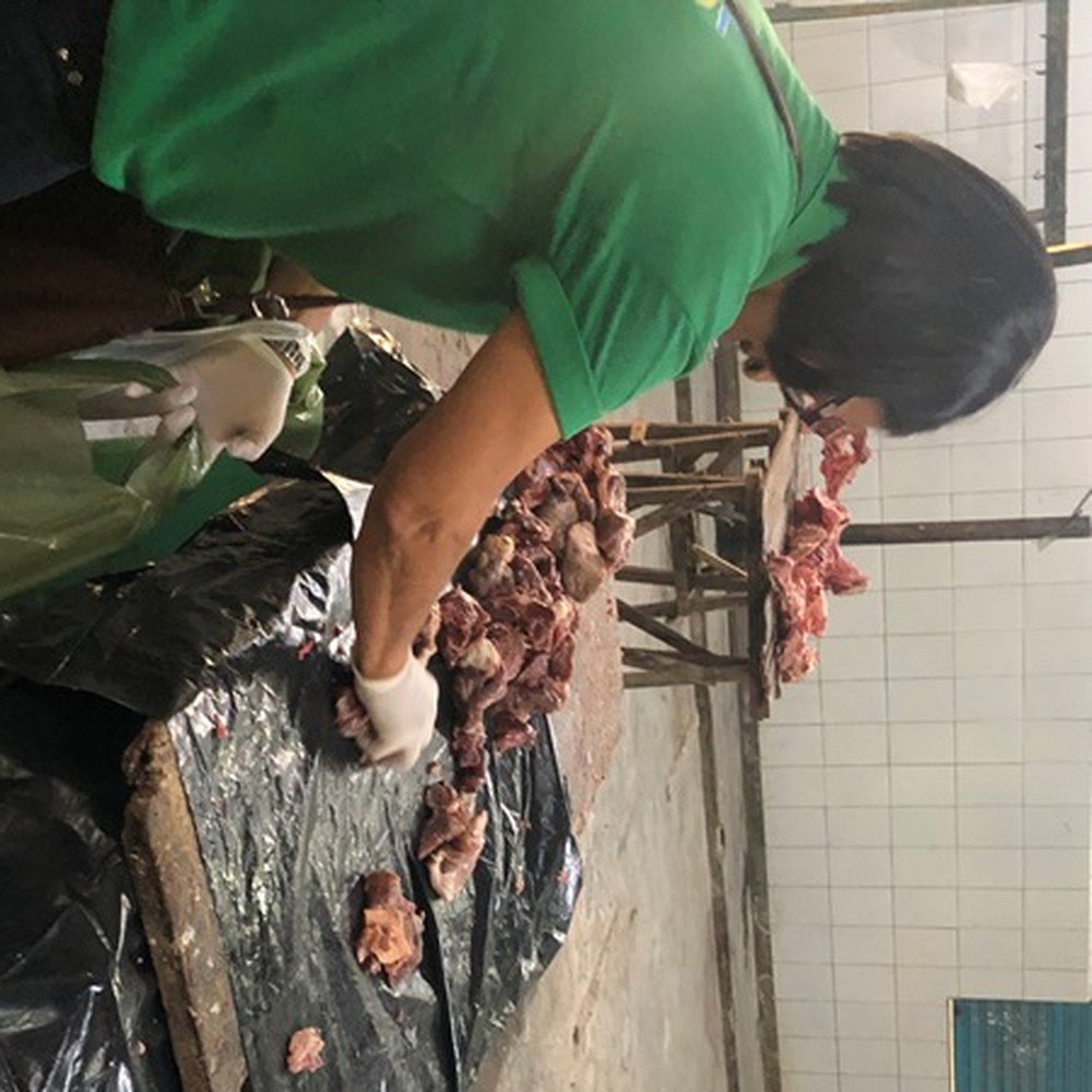 Cinco pessoas são presas e mais de 600 kg de carne clandestina são apreendidas