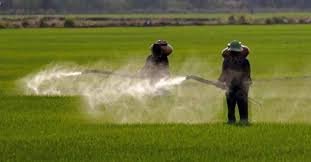 Governo aprova registro de mais 51 agrotóxicos, totalizando 262 no ano