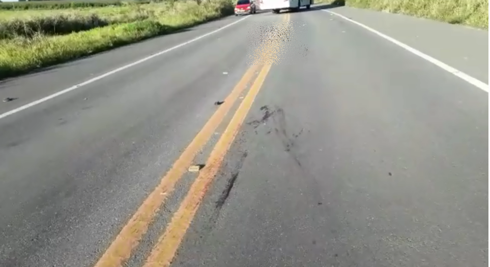 Criança de 09 anos e um adulto morrem atropelados na BR 418 em Posto da Mata