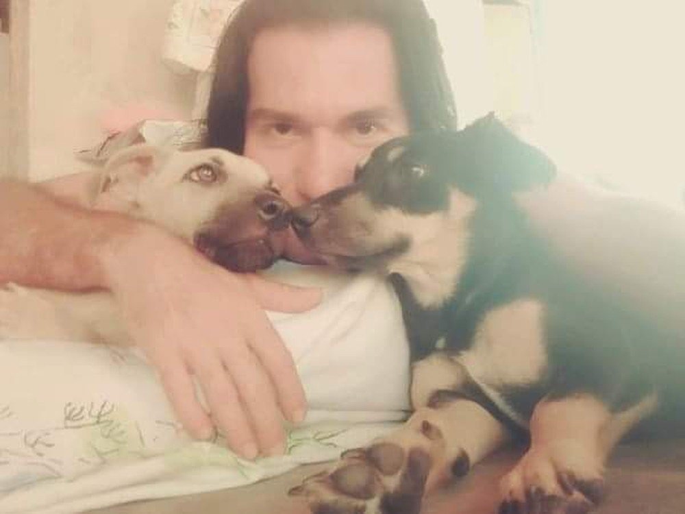 Nova Viçosa: Cachorro é morto a tiros e outro fica ferido após homem se incomodar com latidos