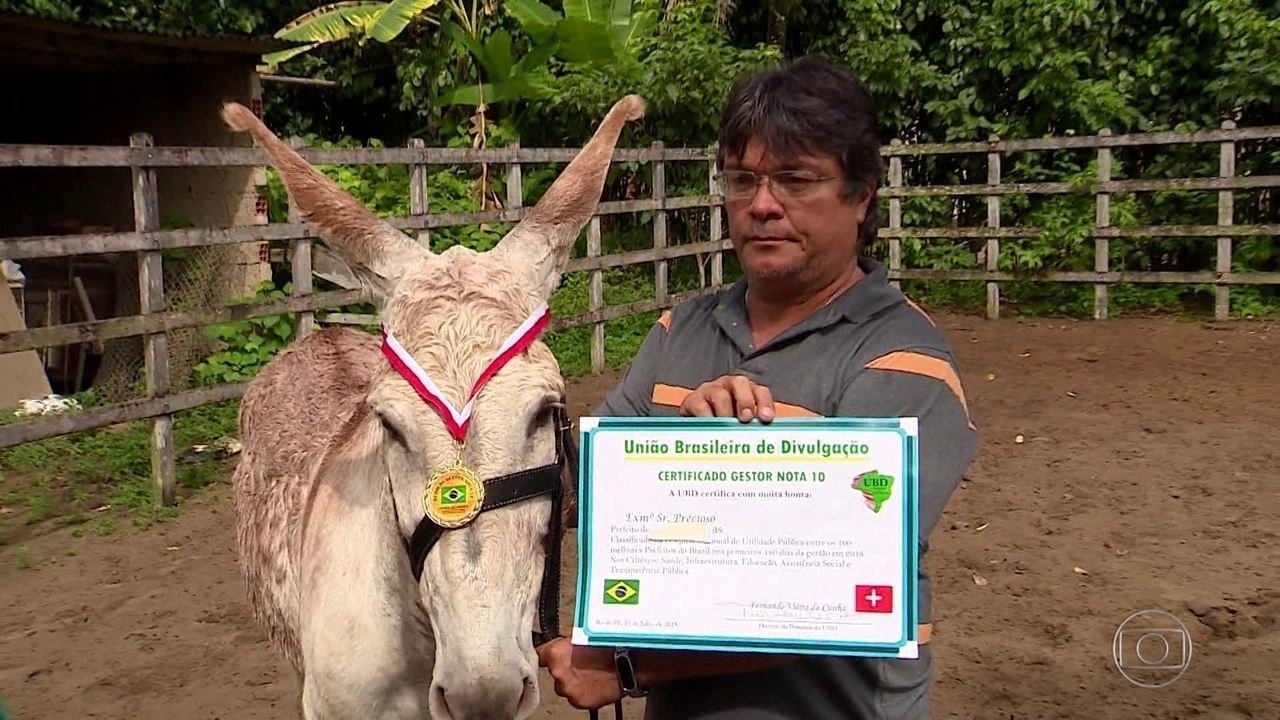 TCM pune vereadores que compraram diplomas da empresa que cedeu diploma e medalha a um jumento