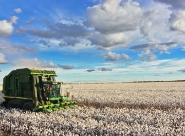 Dois municípios baianos estão no topo da produção agrícola nacional