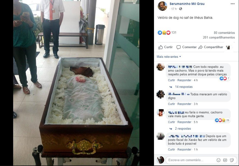 Ilhéus: Foto de cachorro em caixão repercute nas redes sociais
