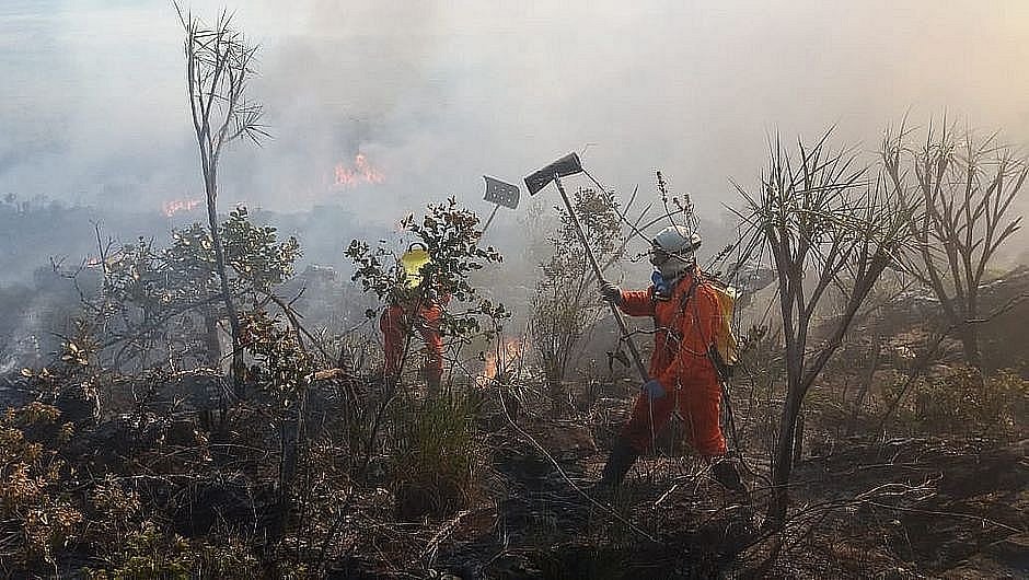 Especialistas alertam pra aumento dos incêndios florestais na Bahia