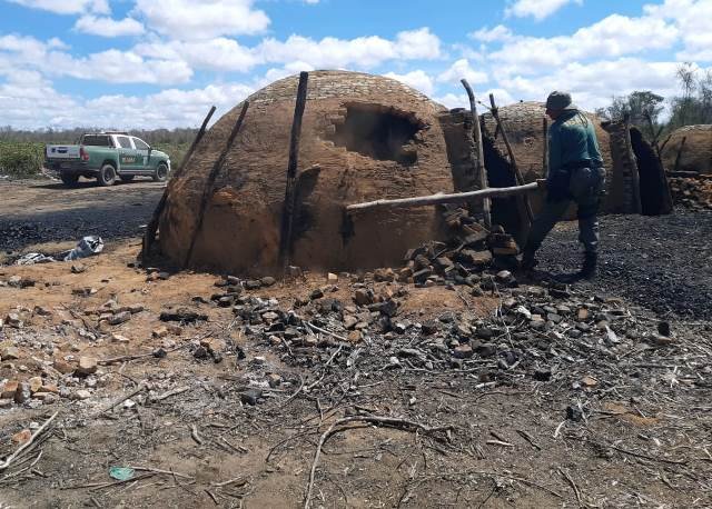 Operações no Sul da Bahia promovem demolição de fornos de produção ilegal de carvão