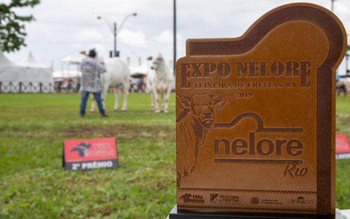 37ª Expo Teixeira: Ranqueada de Nelore é sucesso pelo segundo ano