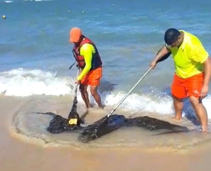 Manchas de óleo chegam a Porto Seguro e atingem praias de Arraial D’Ajuda e Trancoso; Veja vídeos