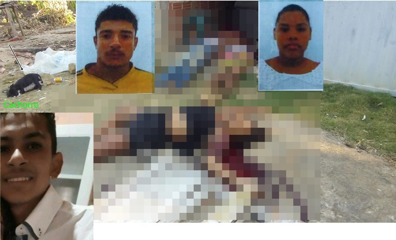 Três pessoas são executadas em um sítio no interior de Itamaraju. O cachorro também foi morto a tiros