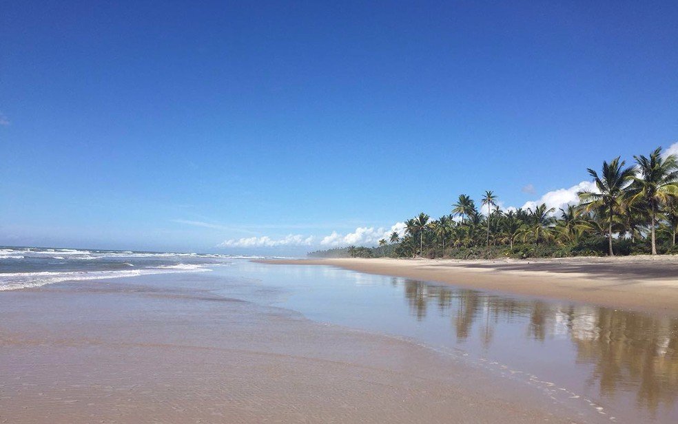 Ao menos duas praias atingidas por óleo estão impróprias para banho no sul da BA