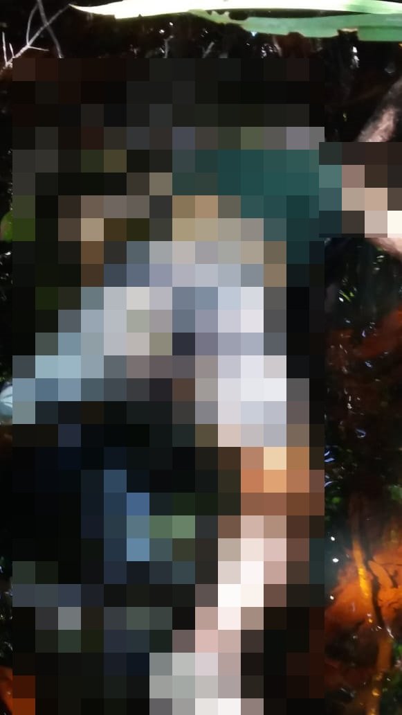 Corpo de Caravelense que estava desaparecido é encontrado no Rio Aparaju em Alcobaça