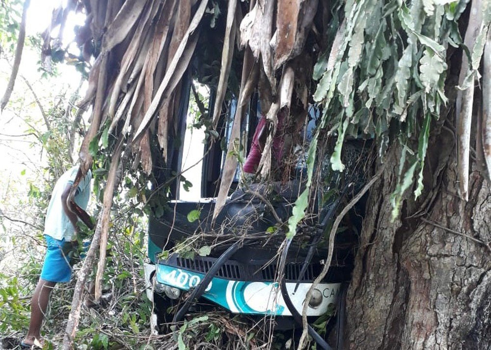 Ônibus bate em árvore e deixa 15 feridos na BR-420 na Bahia