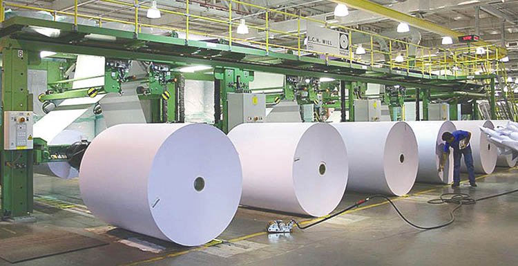 Suzano registra recorde de venda de celulose no quarto trimestre