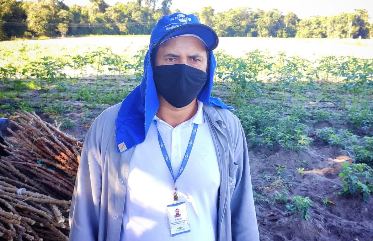 Teixeira de Freitas participa de projeto da Embrapa