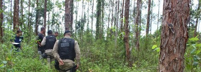 Jovem morto às margens de rodovia em Vale Verde tinha apenas 14 anos