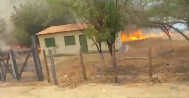 Queimadas já atingiram cerca de 400 Km de vegetação na Bahia em 2020