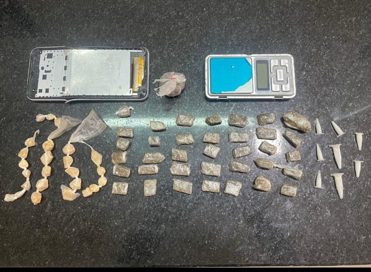 PMBA apreende drogas e resgata animal silvestre em Eunápolis