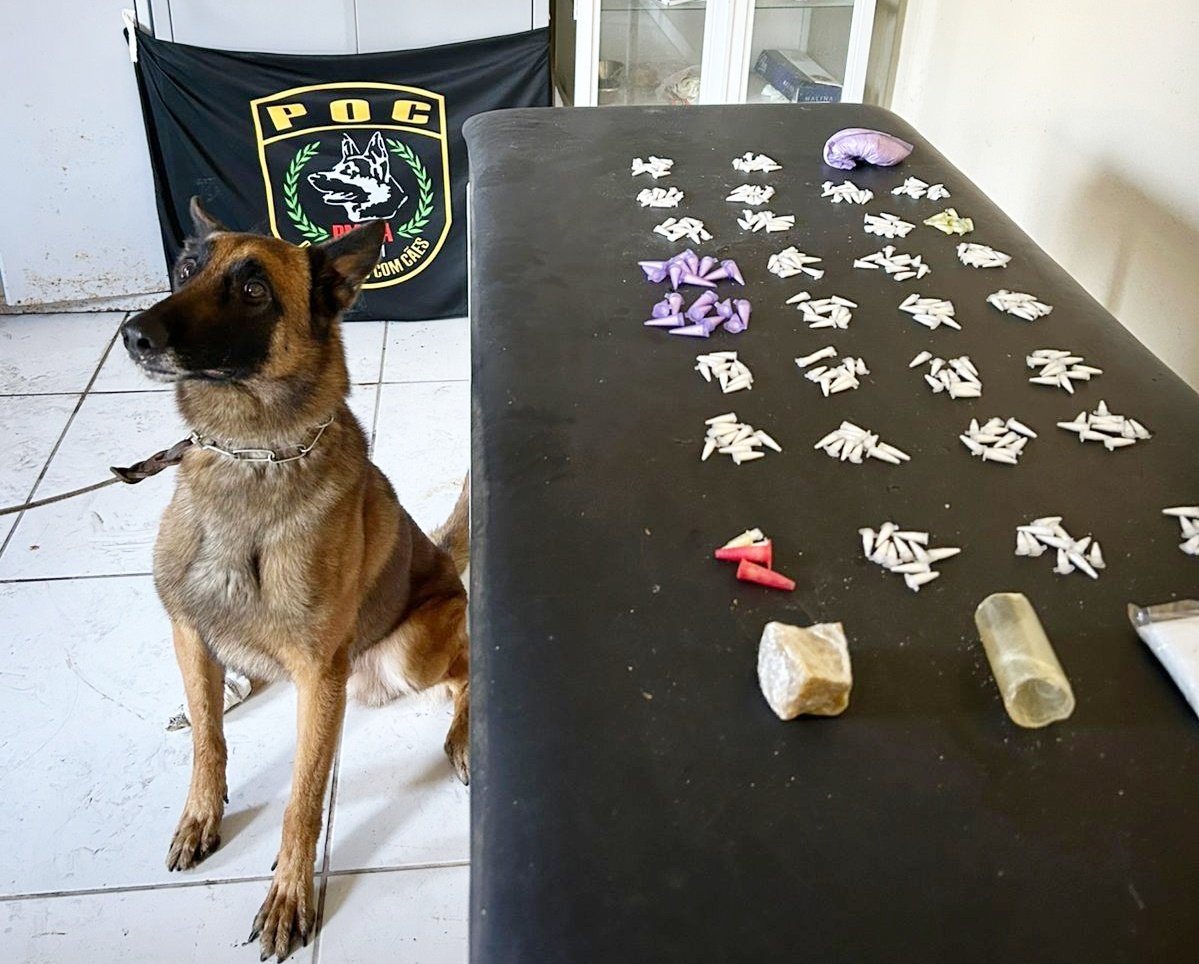 PMBA apreende drogas em Santa Cruz Cabrália