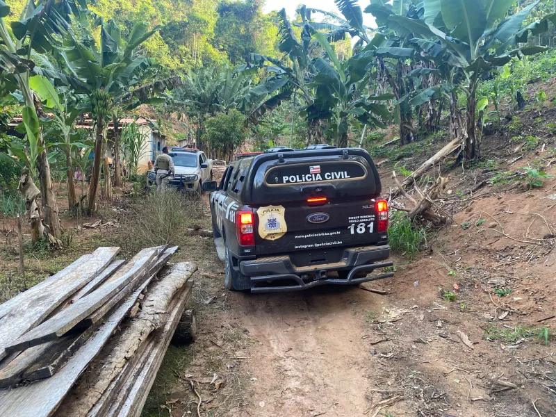 Guaratinga: Ação conjunta da Polícia Civil e Militar apreende plantação de maconha na zona rural