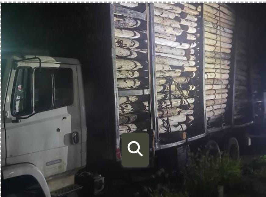 Eunápolis: Polícia Militar recupera carga de madeira furtada
