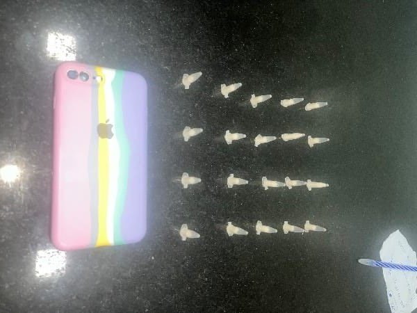 PMBA apreende drogas na cidade de Eunápolis