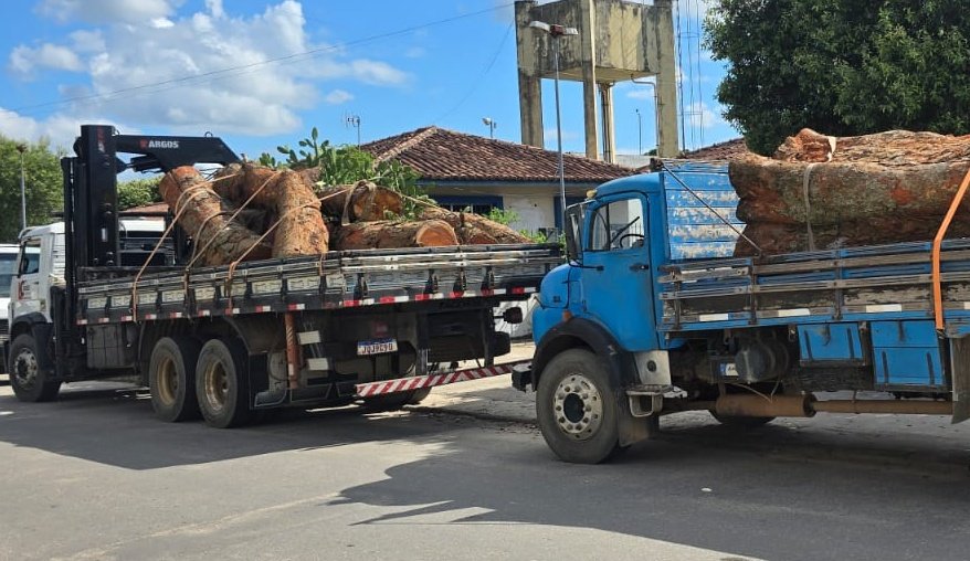 PMBA prende três homens suspeitos de furto de madeira; dois caminhões e dois motosserras foram apreendidos